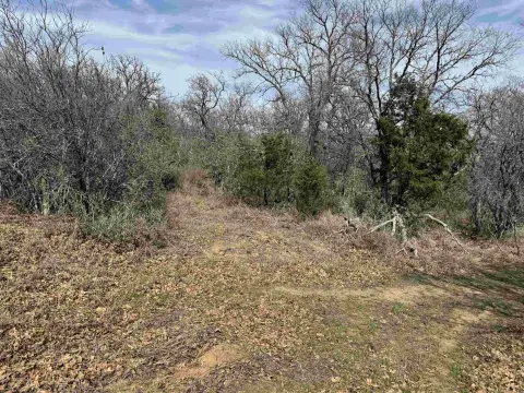 Kingsland, TX Land Opportunity