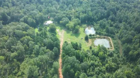 178 Acres Hunting/Recreational Land, Rusk County