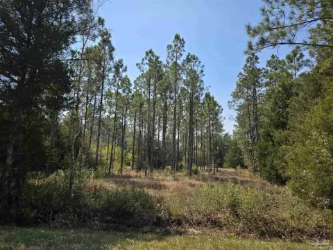 Picturesque Lot Near Blackwater Bay