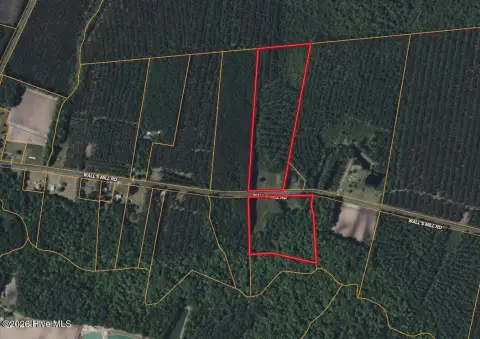 Pine Timber Hunting Land