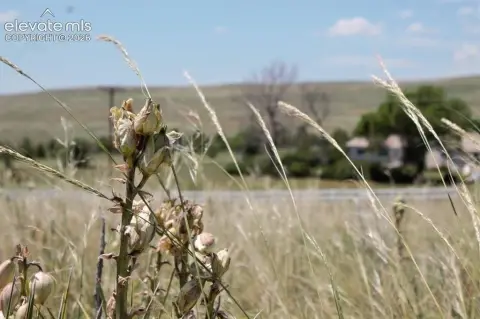 Calhan Land Parcel For Sale