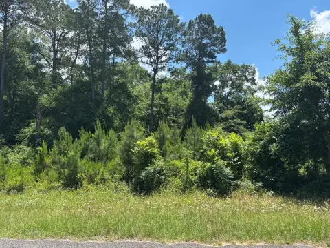Georgetown Land Near Pataula Creek