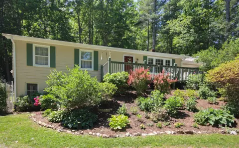 Dog Kennel and Training Facility