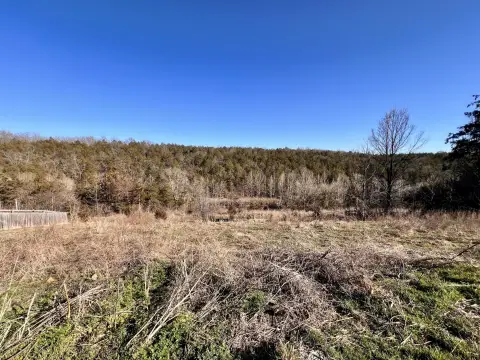 Residential Land in Branson, MO