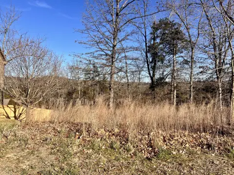 Residential Land in Branson, MO