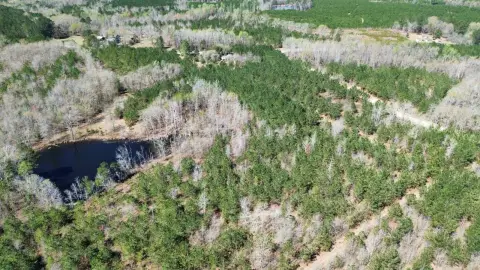 77 Acres in Mount Croghan