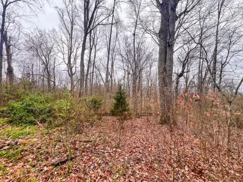 Buildable Lot Near Norris Lake