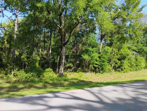 Williston Highlands Corner Lot