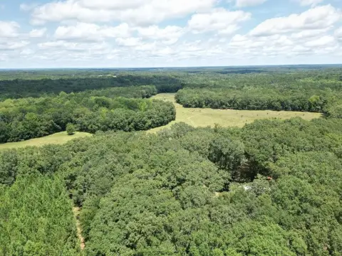 Cuthbert Hunting and Recreational Land