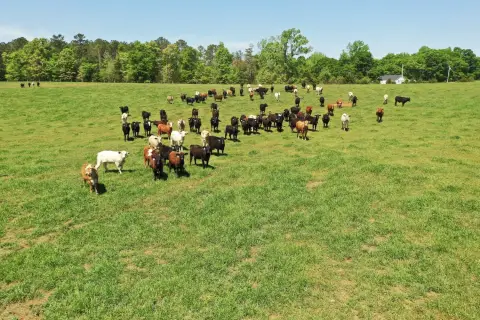 10 Acres in Due West