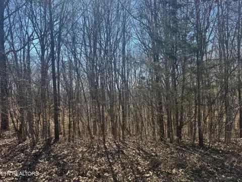 Wooded Land with Lake View