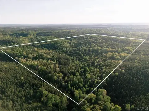 Hunting Land with Year-Round Creek