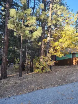 Big Bear Lake Buildable Lot