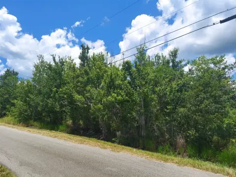 Wooded Development Land Parcel