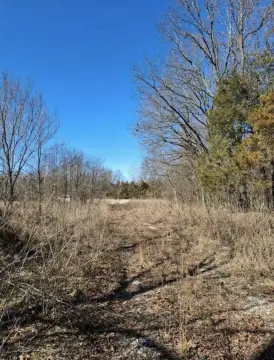 Secluded Land Near Seligman, MO