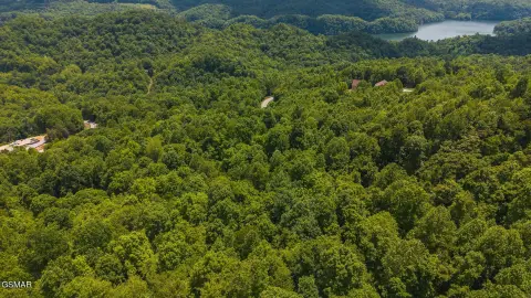 Wooded Lot Near Norris Lake