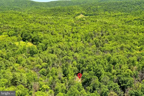 Wooded Recreational Land with Stream