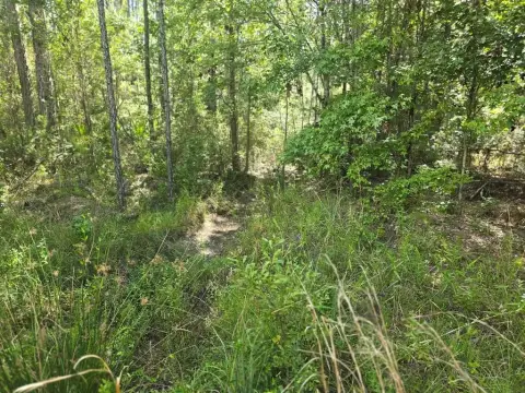 Wooded Land in Gated Community