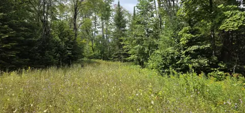 Wooded Land Parcel