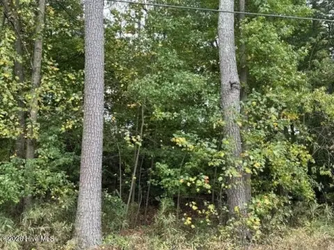 Recreation Lot with Lake and Park Access