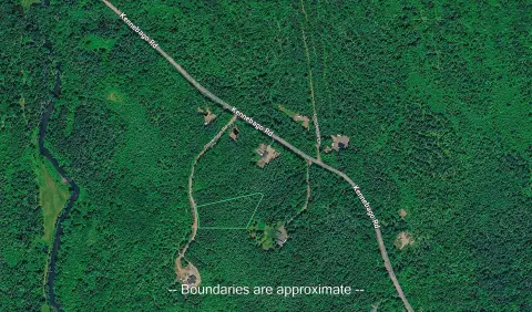 Wooded Land