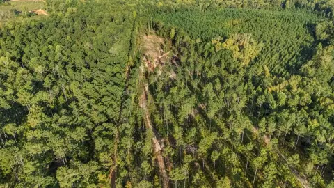 Recreational Land Near Waverly Hall