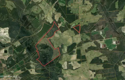 Edgecombe County Hunting and Timberland