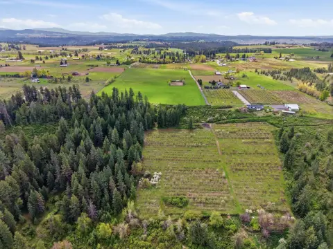 Agricultural Land with Producing Orchard