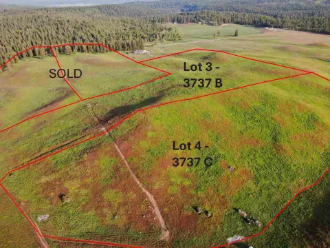45+ Acres Near Loon Lake