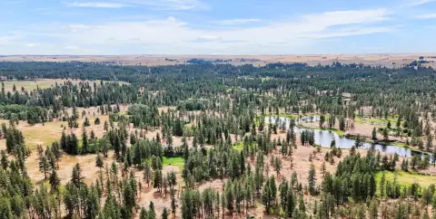 Medical Lake Acreage with Pond