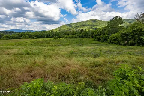 Cosby TN Land For Sale