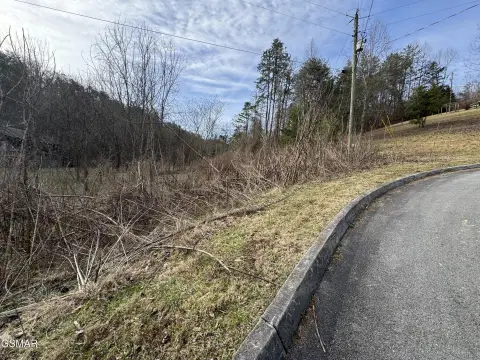 Residential Land in Sevierville, TN