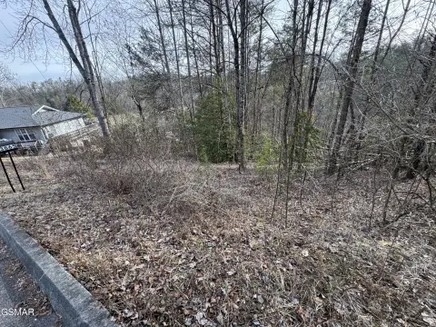 Residential Land in Sevierville, TN