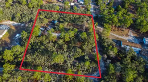 Three Acres in Hudson, Florida