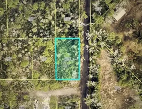 Vacant Lot in Pineland Area