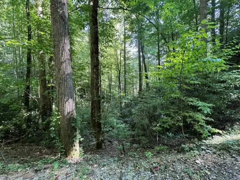 Unrestricted Mountain Land Parcel