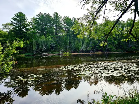 Tahquamenon River Waterfront Land