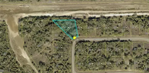 Lehigh Acres Half Acre Lot