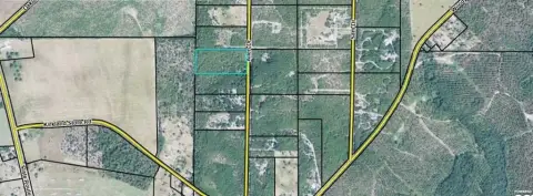Unrestricted Wooded Acres in Mauk