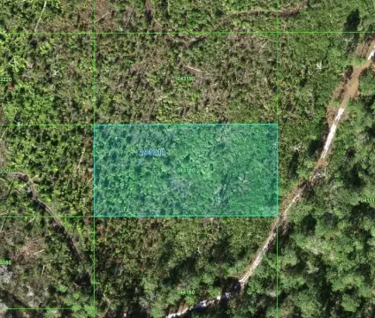 Vacant Land in Lake Wales