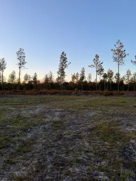 Land Lots in Early Branch