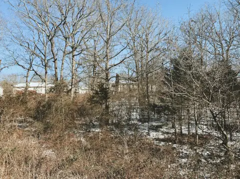 Land For Sale, West Plains