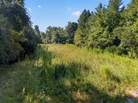 Wooded Hunting Land