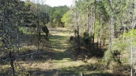 74 Acres Vacant Wooded Land