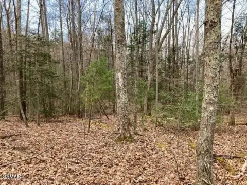 Smoky Mountain Retreat Land