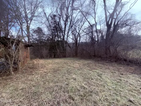 Unrestricted Land Near Newport
