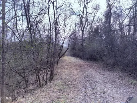 Unrestricted Land Near Newport