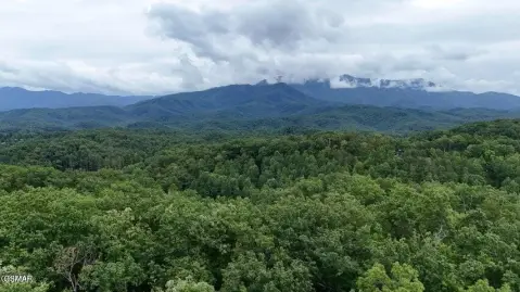 Gatlinburg Land: Multi-Lot Opportunity