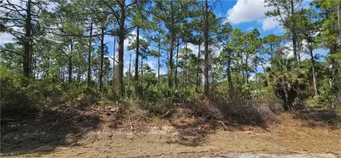 Half-Acre Parcel in Lehigh Acres
