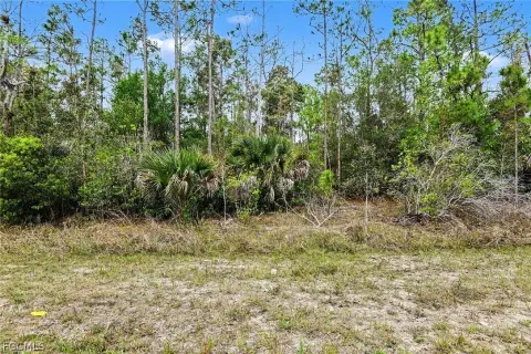 Residential Lot in Lehigh Acres
